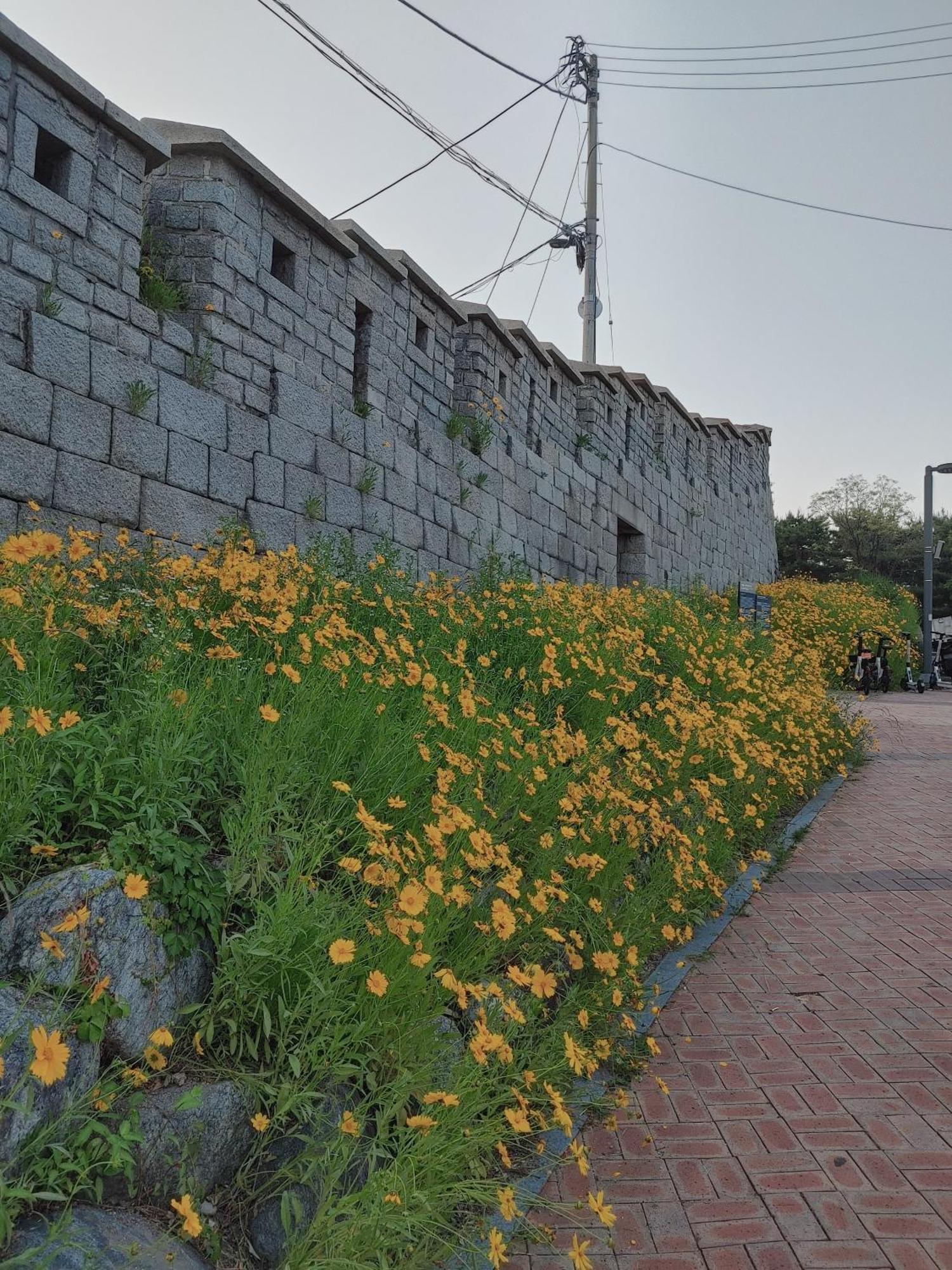 Cobe Guesthouse Dongdaemun Seoul Exterior photo